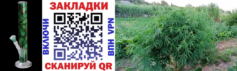 Купить Cocaine Меф Гашиш Конопля Надым