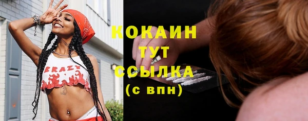 кокс Елизово