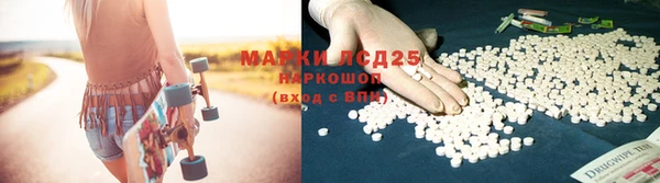 кокс Елизово