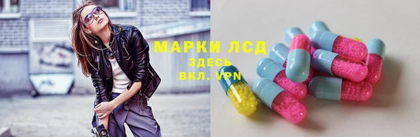 кокс Елизово